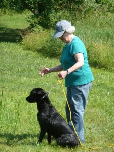 Keystone Labrador Retriever Club (KLRC) Hunt Test