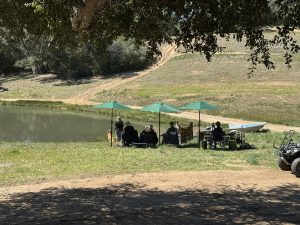 Raney Ranch Retrievers
