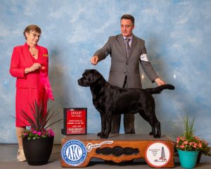 GCHS CH Firewater's Bronco's Bear Necessities CGC TKN "Bear"