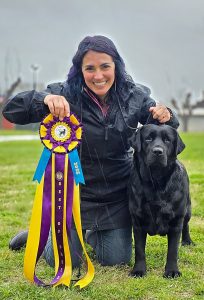 San Joaquin Valley Labrador Retriever Club BISS