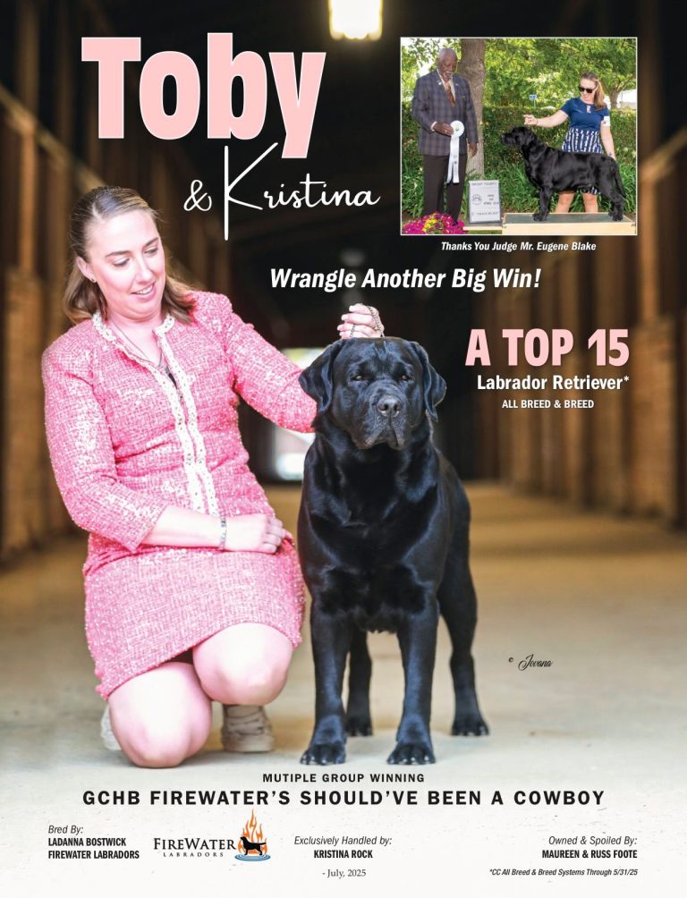 GCHB CH Firewater's Should'Ve Been A Cowboy "Toby"