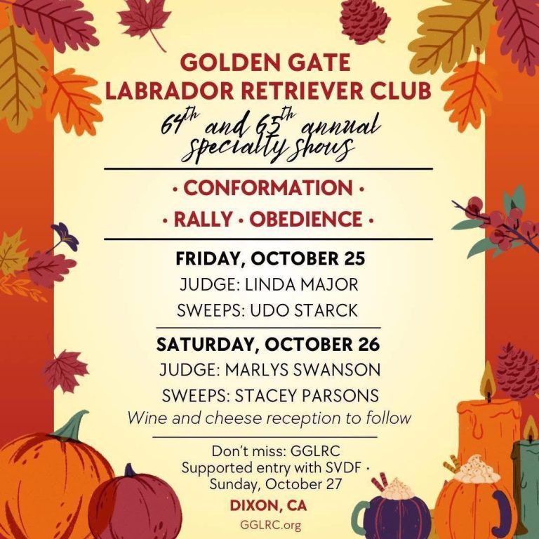 518954620 3619058668229806 3224113602950072341 n 768x768