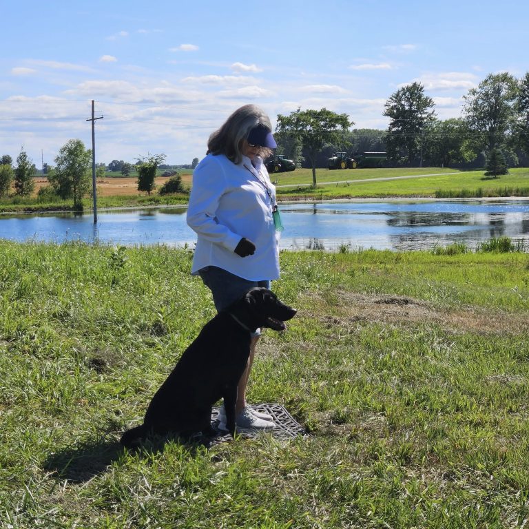 Michigan Flyways Retriever Club (MFRC)