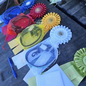 Michigan Flyways Retriever Club (MFRC)
