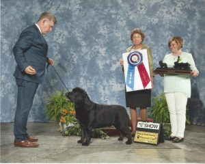 Rusty Howard AKC Handler Labradors