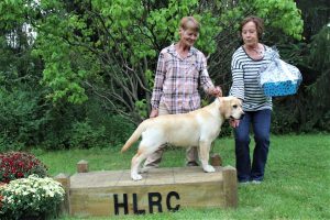 Hoosier Labrador Retriever Club Specialty