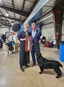 Rusty Howard Labrador Handler