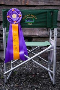 Overlook Labradors Awards