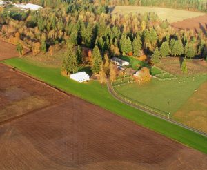 Farm web 300x247