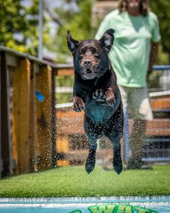IMG 7107 240x300