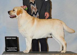 GCH Himoon Everland West Side Story "Riff"