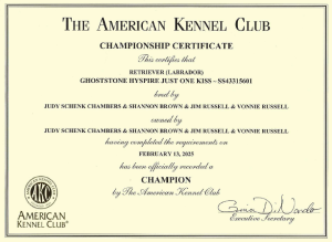 Santino CH certificate 300x219