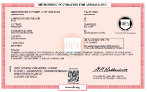 Santino OFA Cardiac 300x189