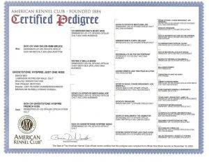 Santino Pedigree rotated 1 300x232