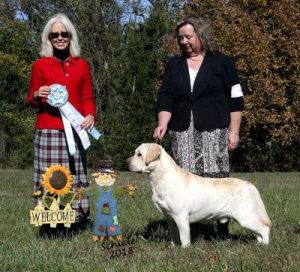 Shawnee Mission Labrador Retriever Club (SMLRC) Specialty Show