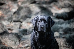 img 6407 300x200