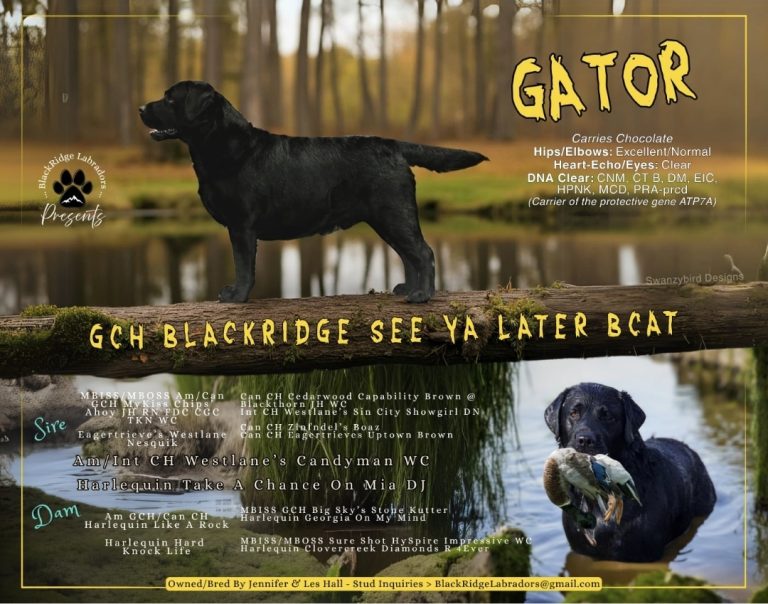 inbound292856026219571045 768x604