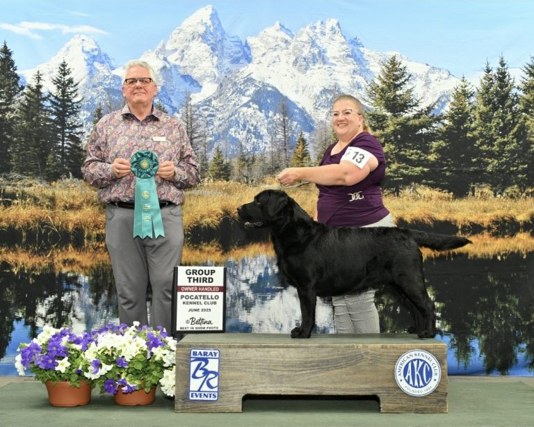 inbound6873150277735532486 768x614