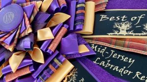 Mid Jersey Labrador Retriever Club (MJLRC) Awards