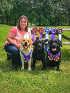 Mid-Michigan Labrador Retriever Club (MMLRC) Specialty Show