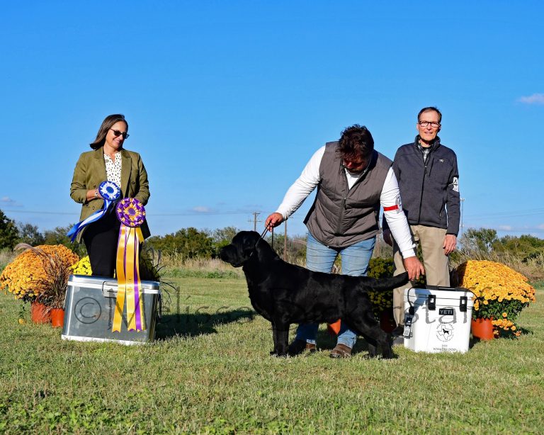 rsw 2560h 2048 768x614