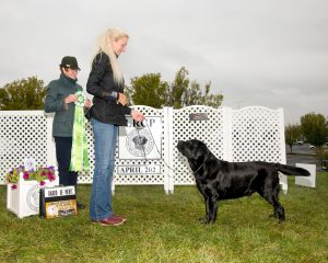 GCHS CH Jrl Midnight Aces Paige Riffle