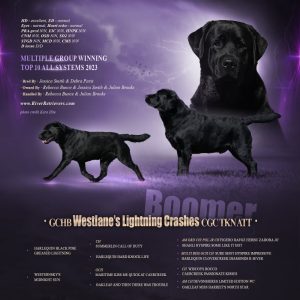 westlanes lightning crashes w1000 o 300x300