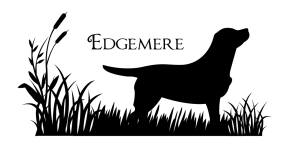 Edgemere Labradors
