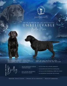 Unbelievable Bella Mare "Billy"