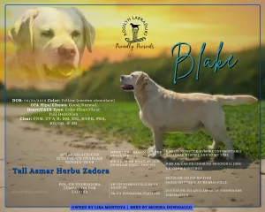 Tall Asmar Herbu Zadora Blake