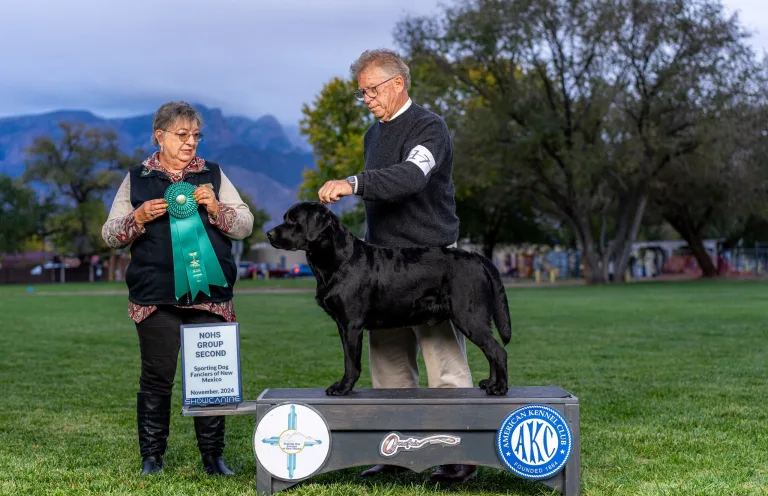 GCH CH Union Hill's Modern Day Warrior "Geddy"