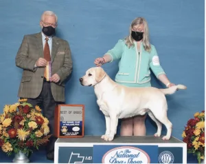 A5D88A18 C8DE 45AC 9DB7 A54D8659B34D 1 105 c 300x238