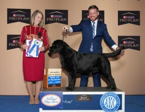 Alex National Dog Show 1024x791 1 300x232