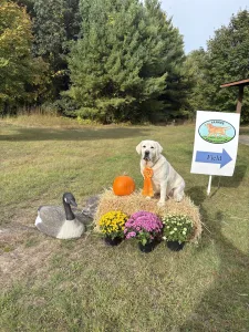 Click MH title 225x300