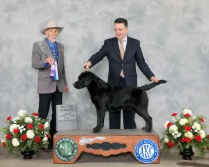 GCH Rana’s Odin of Asgard “Odin”