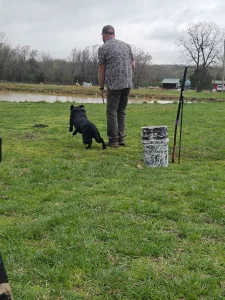 Ozarks Hunting Retriever Association (OHRA) Ozarks Hunting Retriever Association (OHRA)