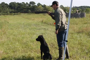 Port Arthur Retriever Hunt Test