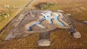 Port Arthur Field Trials