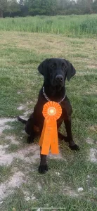 Red Hills Mississippi Hunt Test