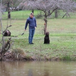 LabradorLover
