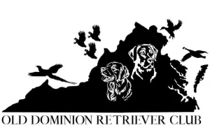 Old Dominion Retriever Club (ODRC)
