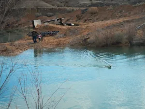 Las Vegas Hunting Retriever Club (LVHRC)