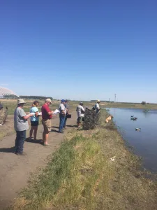 Central Coast Hunting Retriever Club of California (CCHRC)