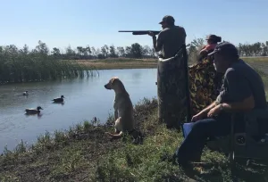 CCHRC 2026 Hunt Test