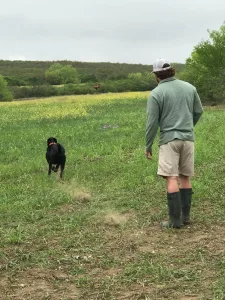 467667488 10160688962481903 4202353890817253002 n 225x300