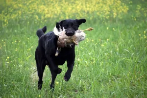 467948892 10160690815881903 6598665516000409674 n 300x200