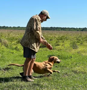 Port Arthur Field Trials