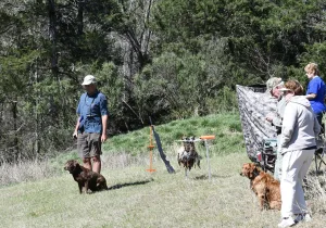 Fall Line Retriever Club Georgia Fall Line Retriever Club Georgia