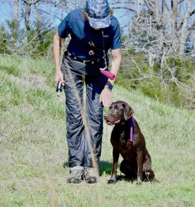 Fall Line Retriever Club of Georgia (FLRCG) Fall Line Retriever Club of Georgia (FLRCG)