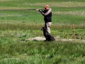 Mesa Grande Hunt Test